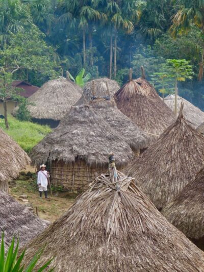 {:en}Indigenous Cultural Immersion & Ecological Tourism Services{:}{:es}Servicios Turisticos{:}